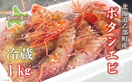 ＜ボタンエビ(冷蔵)　1kg＞甘く豊かな風味！ 北海道 道産 国産 乙部町産 牡丹海老 海老 日本海 天然 魚介類 新鮮 希少 お刺身  漁師直送 産地直送 送料無料