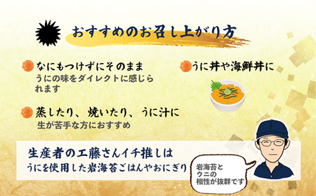 ＜津花食堂 塩水ウニ100g×2パック＞北海道 北海道産 ウニ うに 雲丹 塩水ウニ ミョウバン不使用