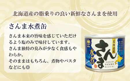 ＜笹谷商店さんま水煮10缶セット＞さんま缶  190g 北海道 国産 北海道産 道産 水煮 缶詰 魚介 魚介類 海産物 非常食 常温
