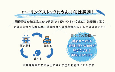 ＜笹谷商店さんま味付10缶セット＞さんま缶 190g 北海道 国産 北海道産 道産 水煮 缶詰 魚介 魚介類 海産物 非常食 常温