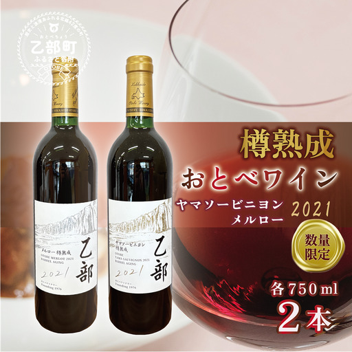 ＜おとべワイン メルロー・ヤマソービニヨン 750ml×各1本セット＞北海道 乙部町 道産 道南 道南ワイン おとべワイン ワイン 赤ワイン 限定 限定品 芳醇 香り