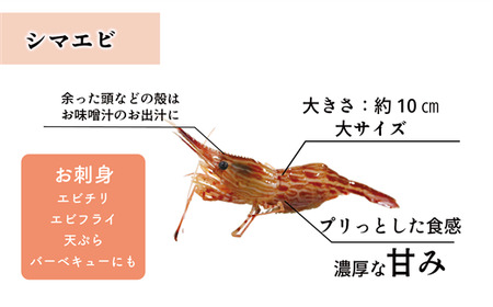 <ボタンエビ・シマエビ(冷蔵) 1kg(各500g)>北海道乙部町産 産地直送