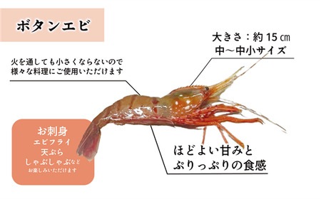 <ボタンエビ・シマエビ(冷凍) 1kg(各500g)>北海道乙部町産 産地直送