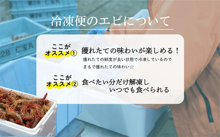 <ボタンエビ・シマエビ(冷凍) 1kg(各500g)>北海道乙部町産 産地直送