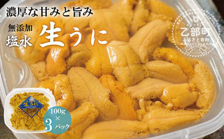 <小川の塩水ウニ 100g×3パック> ミョウバン不使用!工場直送