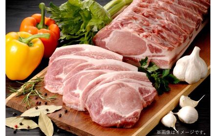 下仁田ポーク米豚ロース焼き肉用 1kg(500g×2パック) 焼き肉 焼肉 ブタ肉 国産 豚肉