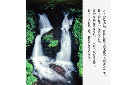 群馬の名水 箱島湧水 エア８L計46本（2本×23回）期間 レンタル ウォーターサーバー 1台 飲料 ドリンク 飲料類 水 ミネラルウォーター 名水 天然水 飲み物 産地直送 