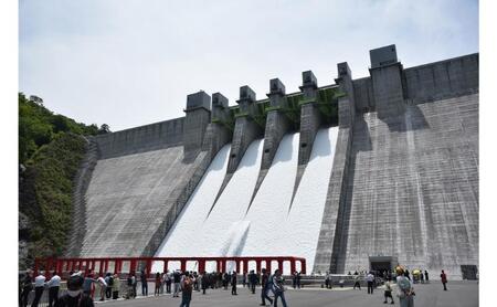 【令和7年5月24日(土)開催】八ッ場ダム点検大放流フェス入場券（お二人様用）イベントチケット 八ッ場ダム