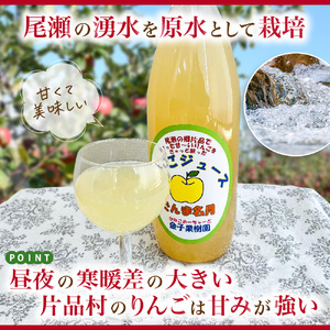 片品村 ストレート 果汁 100％ りんご ジュース （1リットル・2本セット）