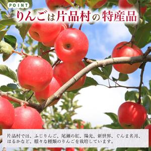 片品村 ストレート 果汁 100％ りんご ジュース （1リットル・2本セット）