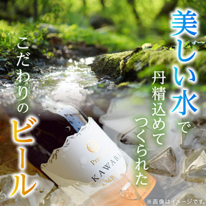 WEIZEN(ヴァイツェン)24本セット_酒・アルコール 地ビール ビール _【1446344】