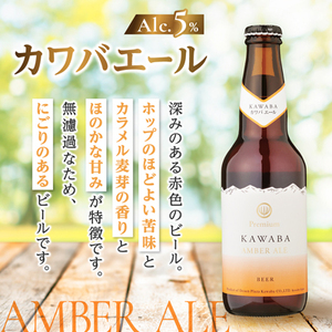 カワバエール 24本セット_酒・アルコール ビール _【1446345】