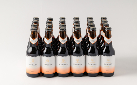 カワバエール 24本セット_酒・アルコール ビール _【1446345】