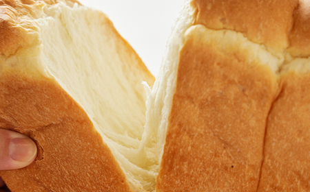 人気食パンと4種のチーズとヨーグルトセット_ パン  ぱん  卵・乳製品 チーズ    卵・乳製品 ヨーグルト  _【配送不可地域：離島・北海道・沖縄県・中国・四国・九州】【1340786】