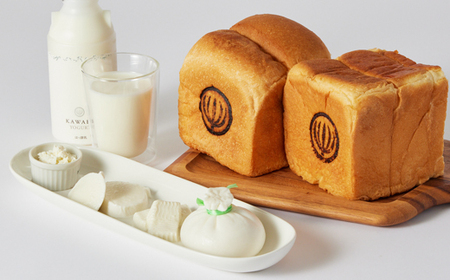 人気食パンと4種のチーズとヨーグルトセット_ パン  ぱん  卵・乳製品 チーズ    卵・乳製品 ヨーグルト  _【配送不可地域：離島・北海道・沖縄県・中国・四国・九州】【1340786】