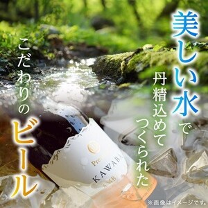 【毎月定期便】川場ビール詰め合わせセット(4種×各3本)全3回【4072336】