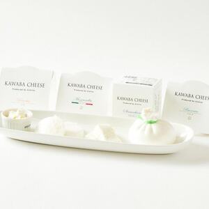 【毎月定期便】4種のチーズとヨーグルトセット全3回【配送不可地域：離島】【4072341】