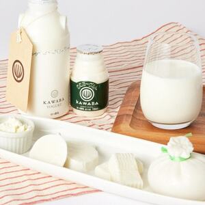 【毎月定期便】4種のチーズとヨーグルトセット全3回【配送不可地域：離島】【4072341】