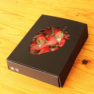 森林の力で育った朝摘みいちご1箱　【12～16粒入り】【配送不可地域：離島・北海道・沖縄県・中国・四国・九州】【1033308】