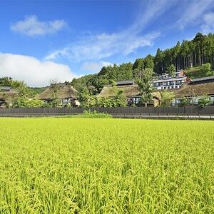 憧れの宿【悠湯里庵】　眺望の別館悠山『平日限定　1泊2食付きプラン』　2名様宿泊招待券【1026844】