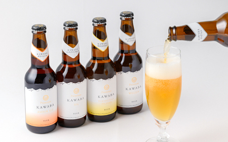 4種のビールとモッツァレラセット_卵・乳製品 チーズ    酒・アルコール 地ビール ビール _【配送不可地域：離島】【1340791】