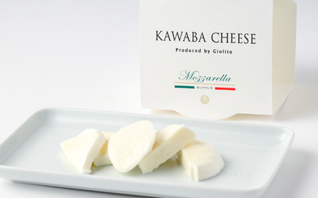 4種のビールとモッツァレラセット_卵・乳製品 チーズ    酒・アルコール 地ビール ビール _【配送不可地域：離島】【1340791】