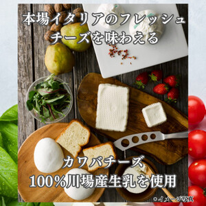 4種のビールとモッツァレラセット_卵・乳製品 チーズ    酒・アルコール 地ビール ビール _【配送不可地域：離島】【1340791】