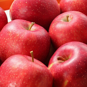 川場村ふるさと納税感謝券(6枚)_旅行券・チケット   _【1398182】