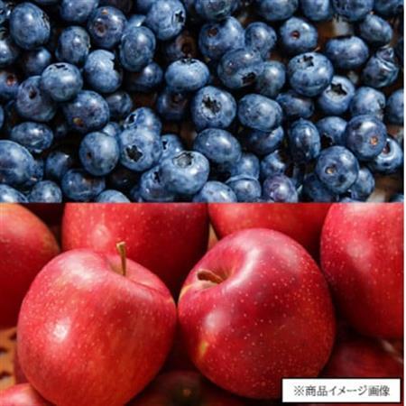 3種のジュース飲み比べセット　1,000ml×3本_飲料・ドリンク りんごジュース 果汁飲料 林檎ジュース アップルジュース リンゴジュース  飲料・ドリンク  果汁飲料 _【1402616】