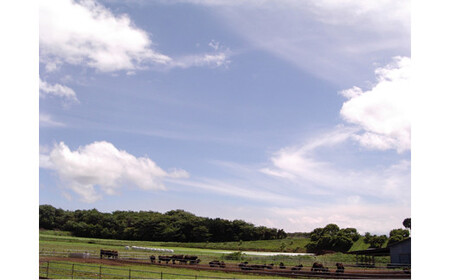 【懐かしい】赤城牛ビーフカレー ゴールドタイプ 中辛（14個）  カレー レトルト