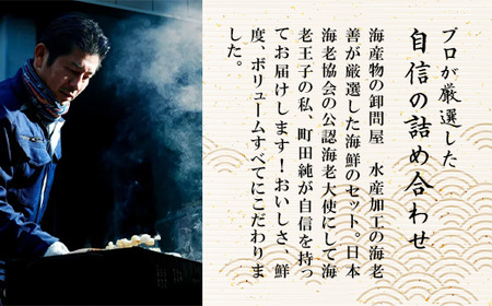 海鮮BBQセット 2～3人前 えび イカ ホタテ つぶ貝 シマホッケ