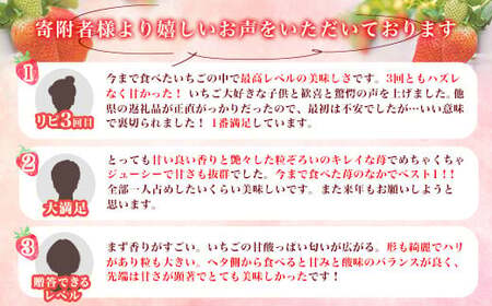 群馬県 やよいひめ いちご 約920g【3年連続金賞受賞】