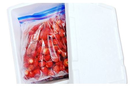 ＜数量限定！！＞フレッシュベリーの完熟冷凍いちご！大中小サイズ混合約２kg（１kg×２袋）やよいひめ・かおり野・紅ほっぺ・もういっこ ≪イチゴ 苺 ジャム ヨーグルト おやつ≫