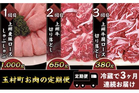 玉村町お肉の定期便【冷蔵で3ヶ月連続お届け】B-17
