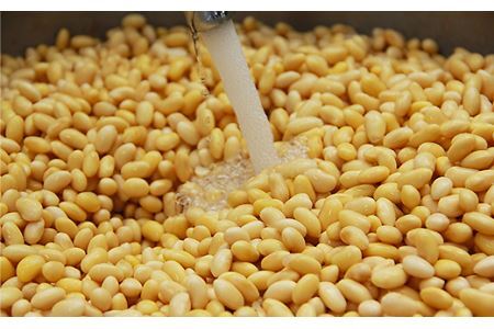 おとうふ納豆詰め合わせセット11品【群馬県玉村町産大豆使用】