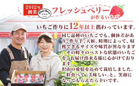 群馬県やよいひめ（いちご）約800g【３年連続金賞受賞！】