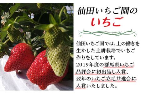 ぐんまのやよいひめ(いちご贈答用)約800g