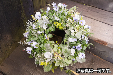 ハンギングリース 季節のアレンジ (寒色系) 直径約40cm【生花 ビオラ インテリア 玄関 バスケット 寄せ植え プレゼント 贈り物】