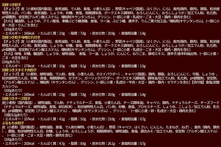 大阪王将 餃子バラエティセット(5種アソート)計12袋