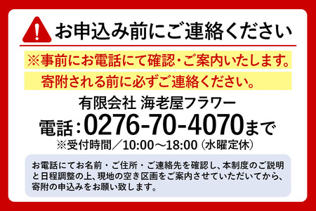 群馬県板倉町産 青パパイヤ オーナー制度