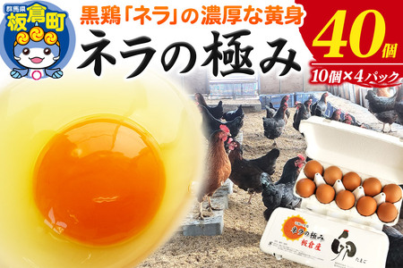 ネラの極み 卵 たまご 40個（10個×4パック）