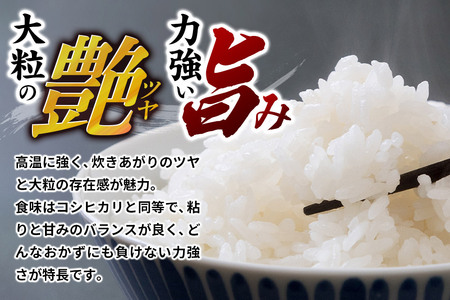 《定期便4ヶ月》令和7年産 【白米】群馬県 板倉町産 にじのきらめき 5kg