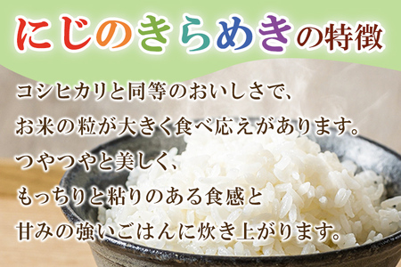 期間限定【白米】群馬県明和町産 にじのきらめき 10kg（5kg×2袋）