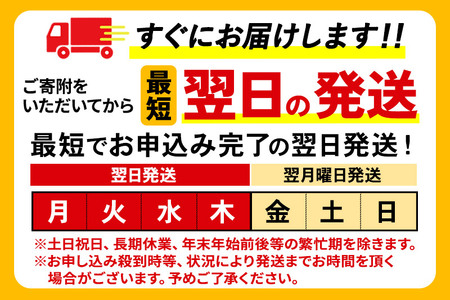 《最短翌日発送》【定期便10ヶ月】サントリー からだを想うオールフリー ＜500ml×24缶＞