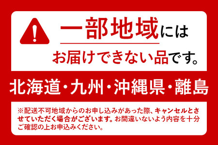 《定期便6ヶ月》伊藤園 健康ミネラル むぎ茶 ラベルレス ＜600ml×24本＞【1ケース】