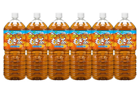 《定期便3ヶ月》健康ミネラルむぎ茶＜2L×6本＞【1ケース】伊藤園