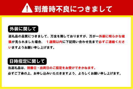 自家製ラーメン 塩味 1人前 (麺、スープ、チャーシュー、メンマ) ※沖縄・離島配送不可