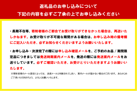 自家製ラーメン しょうゆ味 1人前 (麺、スープ、チャーシュー、メンマ) 群馬県 千代田町 ※沖縄・離島地域へのお届け不可 お取り寄せ グルメ お店の味 こだわり ご当地 あっさり 生麺 オリジナルブレンド