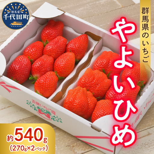 《先行予約》2026年3月発送※ いちご「 やよいひめ 」約270g×2パック 群馬県 千代田町 ＜斉藤いちご園＞ ※沖縄・離島配送不可