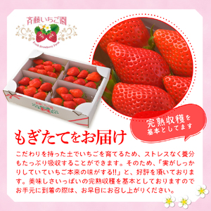 《先行予約》2026年5月発送※ いちご「 やよいひめ 」約270g×2パック 群馬県 千代田町 ＜斉藤いちご園＞ ※沖縄・離島配送不可